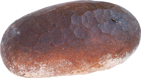 Maudacher Bauernbrot Lang - Otto Schall