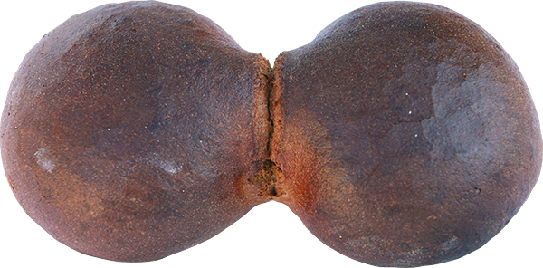 Maudacher Bauernbrot - Otto Schall